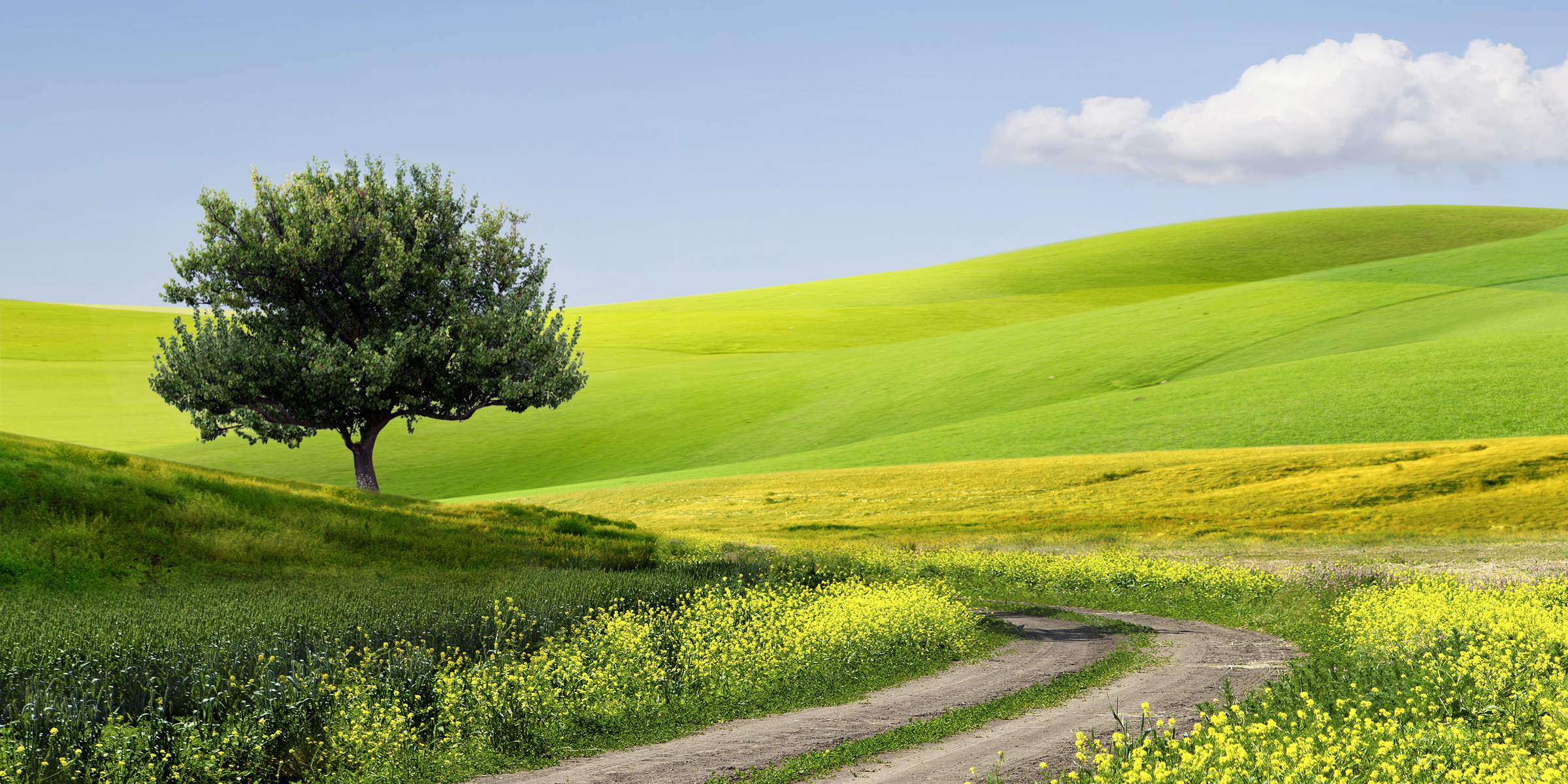 parallax background