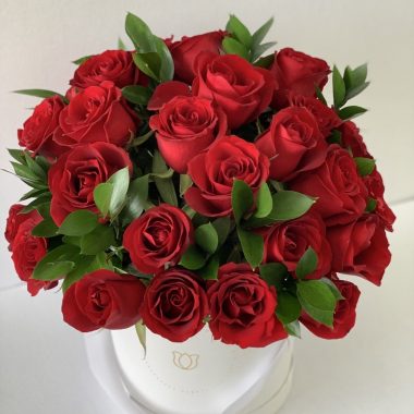 The Classic Red Roses